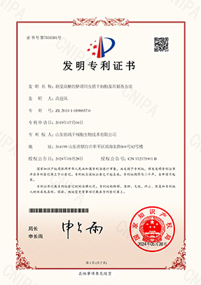 专利伍