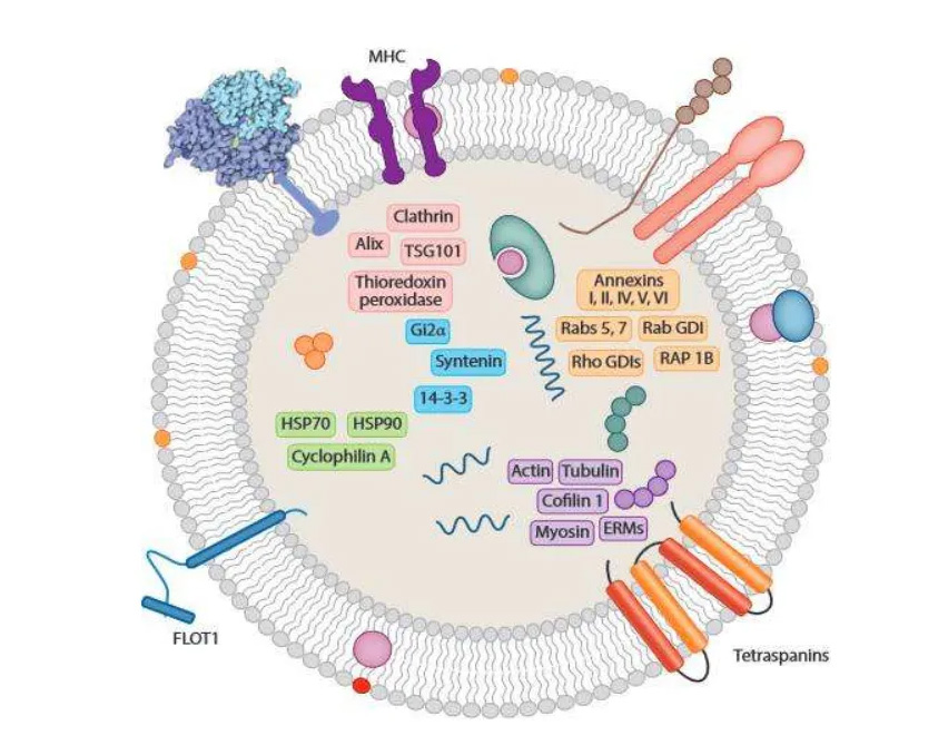 1733195057109442.jpg 2.jpg