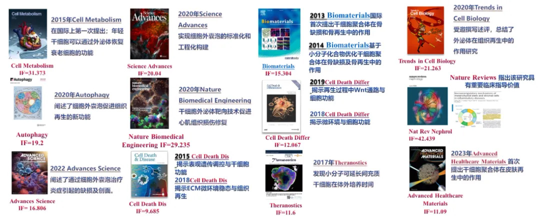 1733195081505795.jpg 3.jpg