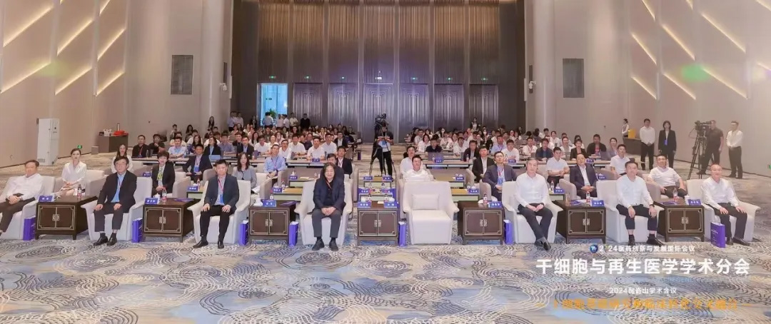 1733196411913392.jpg 44.jpg