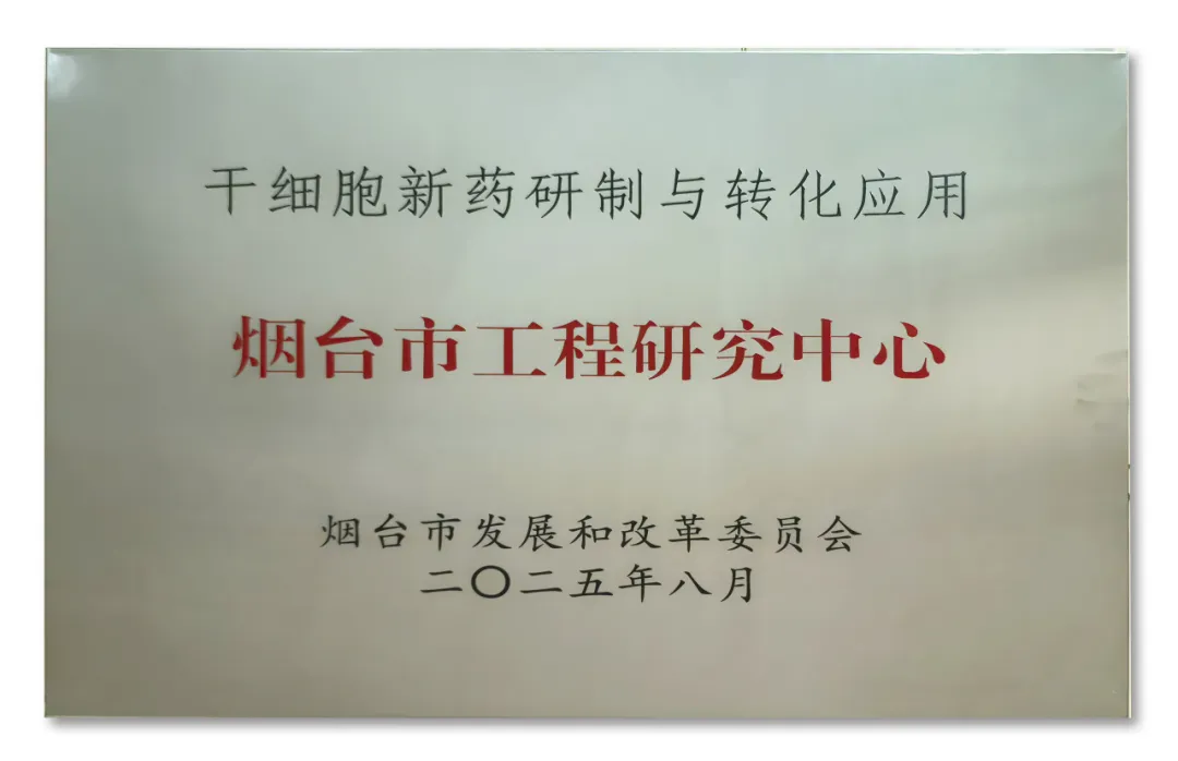 1765352619843508.png 9424249f-764e-472e-b6dc-c4c637131fdc.png