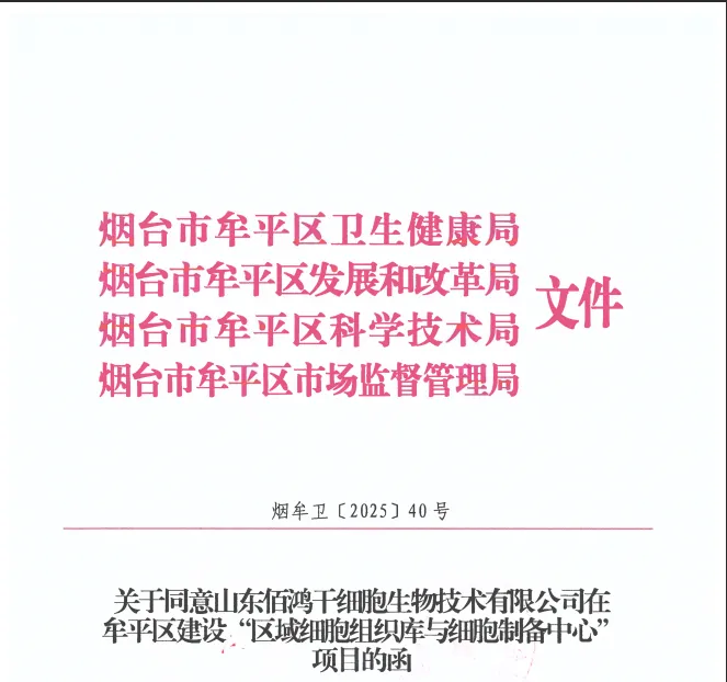 1765352758115208.png a0bc23d8-dd1d-46b2-835b-4287d9fad89e.png