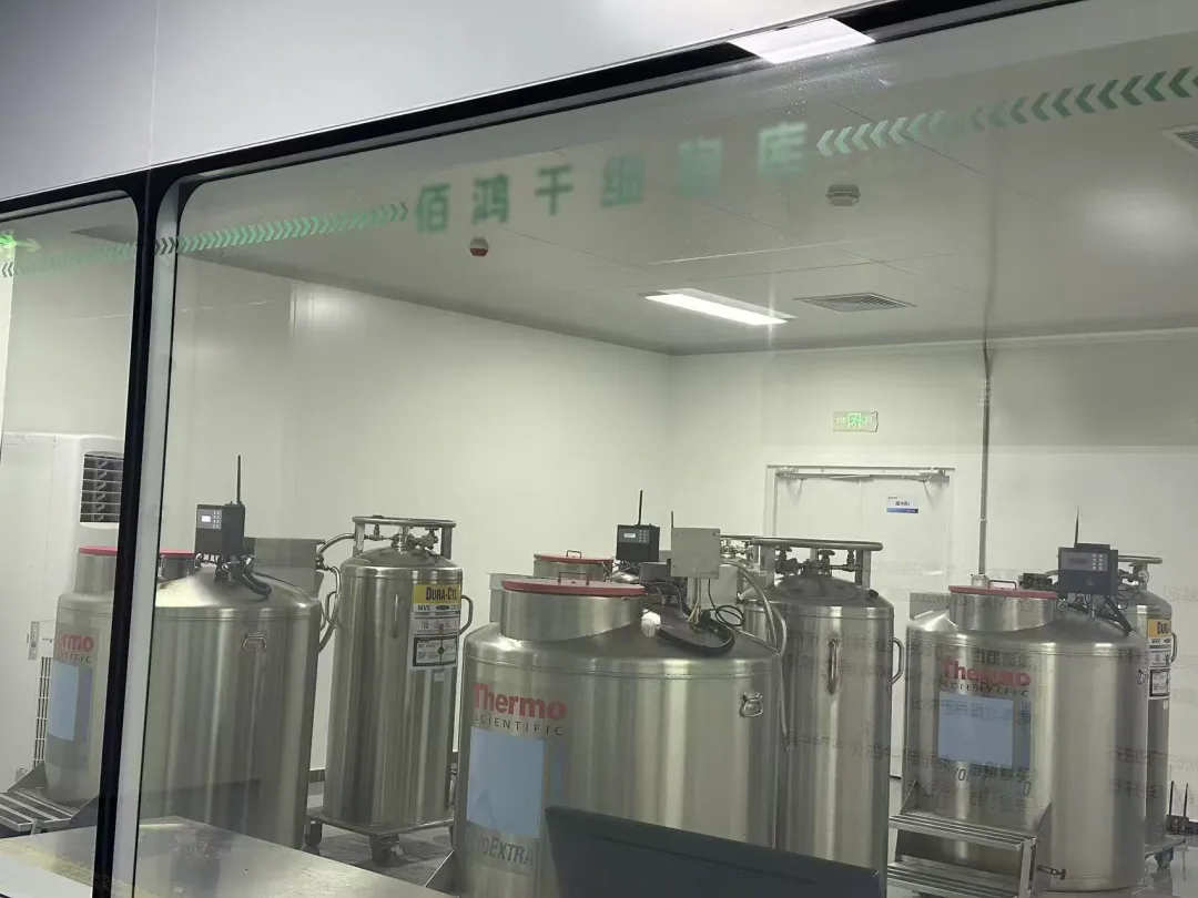 1765352784726548.png 8c16f20c-81f1-42cd-a9b3-fbe73bc937c9.png